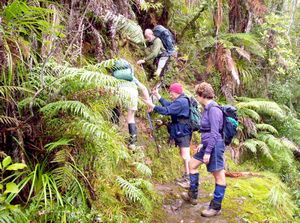 Image of waitakeresmay06airoyal.jpg