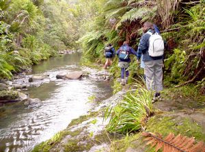 Image of waitakeresmay06ajroyal.jpg