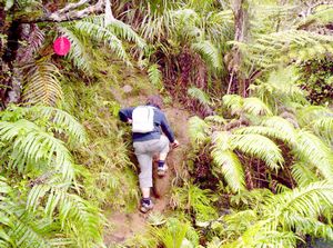 Image of waitakeresmay06aqroyal.jpg