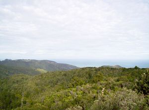 Image of waitakeresmay06cdlookoutpiha.jpg