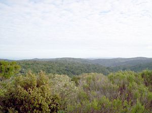 Image of waitakeresmay06celookoutmuriwai.jpg