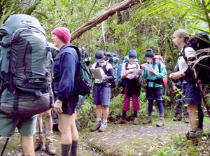 Image of waitakeresmay06chgirlguides.jpg