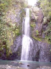 Image of waitakeresmay06cnkitekitefalls.jpg