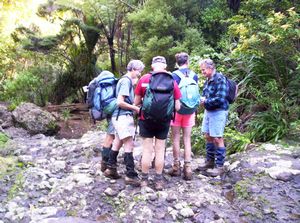 Image of waitakeresmay06cpkitekitefalls.jpg