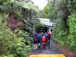 Image of waitakeresmay09datrack.jpg