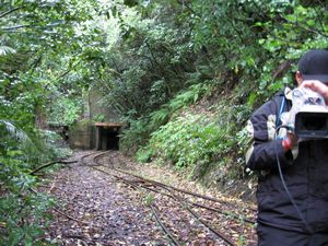 Image of waitakeresmay09eatramline.jpg