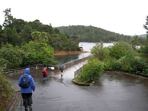 Image of waitakeresmay09hareservoir.jpg