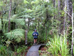 Image of waitakeresmay09kbtrack.jpg