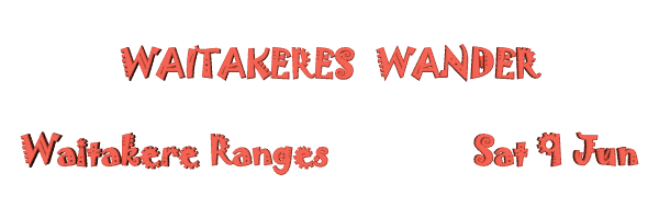 Image of waitakereswander07.gif