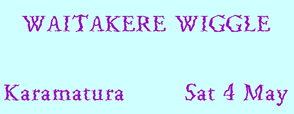 Image of waitakerewiggle.jpg