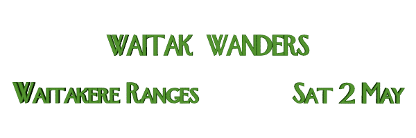 Image of waitakwanders09.gif