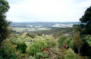 Image of waitangi03mtbledisloehaururu.jpg