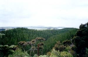 Image of waitangi03mtbledisloenorth.jpg