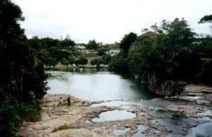 Image of waitangi03topofhaururufalls.jpg