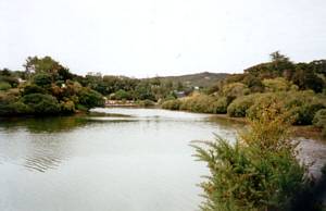 Image of waitangi03waitangitrackriver.jpg