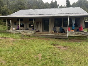 Image of waitawhetahutjun26c.jpg