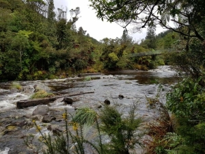 Image of waitawhetajun20g.jpg