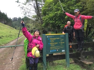 Image of waitawhetanov17q.jpg