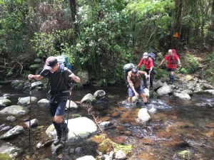 Image of waitawhetanov17r.jpg