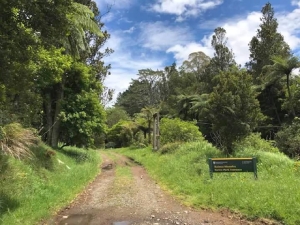 Image of waitawhetanov17s.jpg