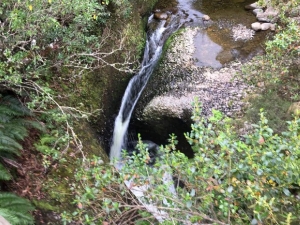 Image of waitawhetasep19e.jpg