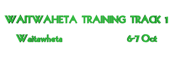 Image of waitawhetatrainingtrack107.gif