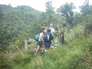 Image of waitomo04enteringtawaraureserve.jpg