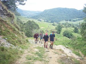 Image of waitomo04farmlandtawarau.jpg