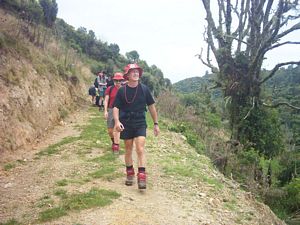 Image of waitomo04farmlandtawarau3.jpg