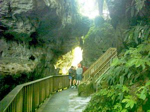 Image of waitomo04mangapohuenaturalbridge.jpg