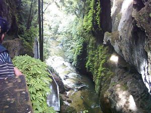 Image of waitomo04mangapohuenaturalbridge3.jpg