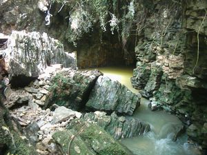 Image of waitomo04ruakuricaveexit.jpg