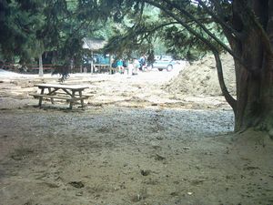 Image of waitomo04ruakuriflooddamage.jpg