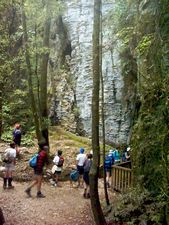 Image of waitomo04ruakuriplatform.jpg