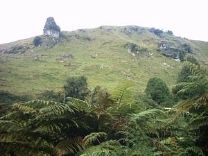 Image of waitomo04tawaraufirstoutcrops.jpg