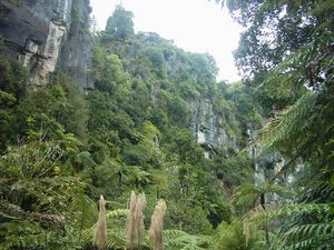 Image of waitomo04tawaraugorge.jpg