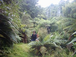 Image of waitomo04tawaraugorge2.jpg