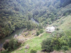 Image of waitomo04tawarauhut2.jpg