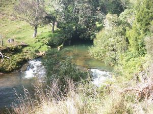 Image of waitomo04tawaraunearfinish.jpg