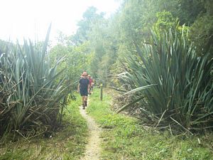 Image of waitomo04walkwaybyriver.jpg