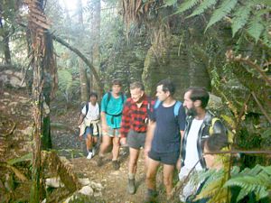 Image of waitomo04walkwaylimestonerocks.jpg