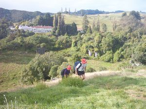 Image of waitomo04walkwayviewhotel.jpg