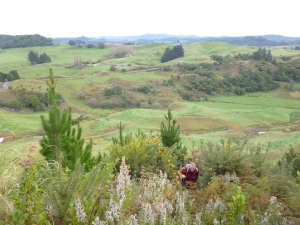 Image of waitomojul134.jpg