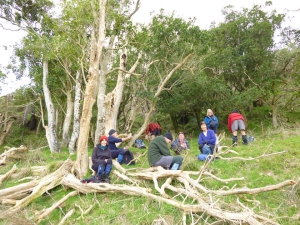 Image of waitomojul136.jpg