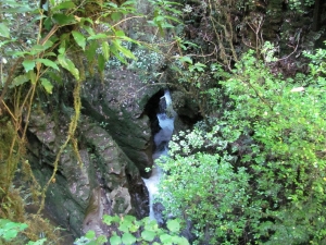 Image of waitomojul138f.jpg