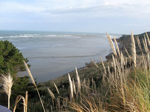 Image of waiuku09bcview.jpg