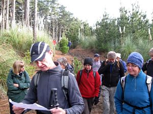 Image of waiuku09cctrack.jpg