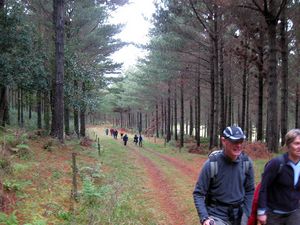 Image of waiuku09ektrack.jpg