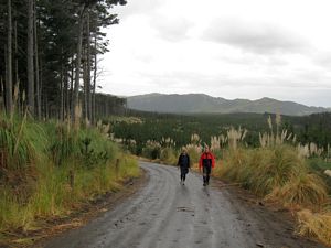 Image of waiuku09gdpoggy.jpg