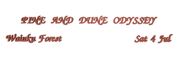 Image of waiukuforest09.gif